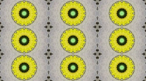 Spring animation with three lines of yellow flowers on gray background. 库存影片 48127928
