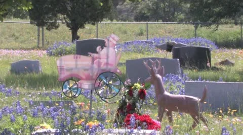 Spring at Antioch Colony Cemetery Stock Footage 10571685