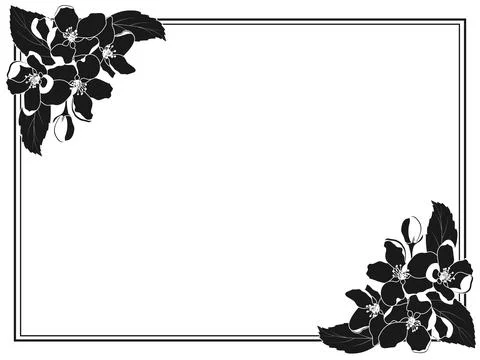 Spring Apple Tree Blossom Black White Flower Frame Stock Illustration