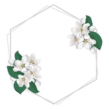 Spring Apple Tree Blossom Flowers Frame Border Stock Illustration