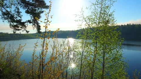 Spring, Arboretum "Rubovsky", quarry and Western Dvina Stock Footage 252255544
