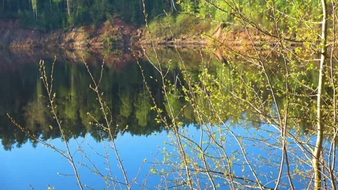 Spring, Arboretum "Rubovsky", quarry and Western Dvina Stock Footage 252255735
