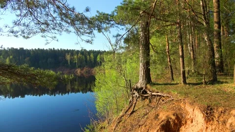 Spring, Arboretum "Rubovsky", quarry and Western Dvina Stock Footage 252255742