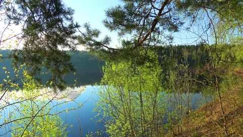Spring, Arboretum "Rubovsky", quarry and Western Dvina Stock Footage 252255815
