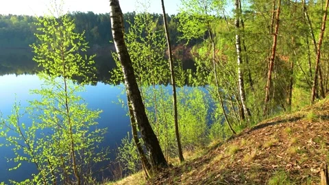 Spring, Arboretum "Rubovsky", quarry and Western Dvina Stock Footage 252255922