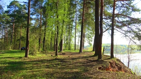 Spring, Arboretum "Rubovsky", quarry and Western Dvina Stock Footage 252256036