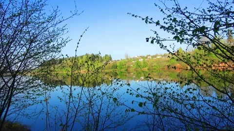 Spring, Arboretum "Rubovsky", quarry and Western Dvina Stock Footage 252256116