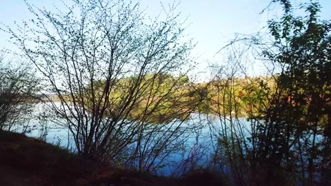 Spring, Arboretum "Rubovsky", quarry and Western Dvina Stock Footage 252256323