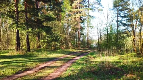 Spring, Arboretum "Rubovsky", quarry and Western Dvina Stock Footage 252256378