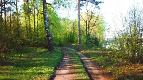 Spring, Arboretum "Rubovsky", quarry and Western Dvina Stock Footage 252256569