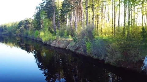 Spring, Arboretum "Rubovsky", quarry and Western Dvina Stock Footage 252256730