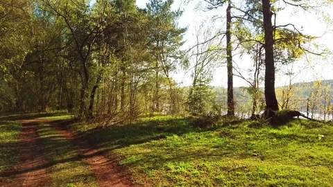 Spring, Arboretum "Rubovsky", quarry and Western Dvina Stock Footage 252257142