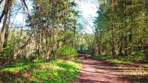 Spring, Arboretum "Rubovsky", quarry and Western Dvina Stock Footage 252257179