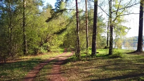 Spring, Arboretum "Rubovsky", quarry and Western Dvina Stock Footage 252257184