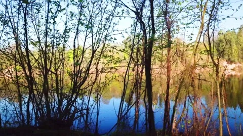 Spring, Arboretum "Rubovsky", quarry and Western Dvina Stock Footage 252257385