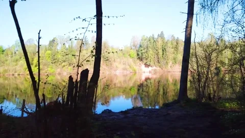Spring, Arboretum "Rubovsky", quarry and Western Dvina Stock Footage 252257492