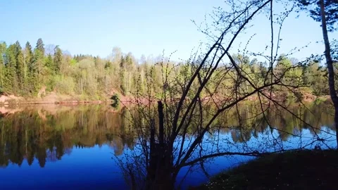 Spring, Arboretum "Rubovsky", quarry and Western Dvina Stock Footage 252257499
