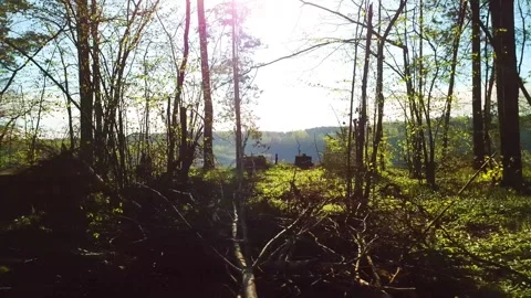 Spring, Arboretum "Rubovsky", quarry and Western Dvina Stock Footage 252257719