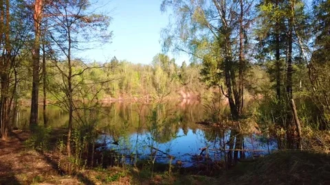 Spring, Arboretum "Rubovsky", quarry and Western Dvina Stock Footage 252257754
