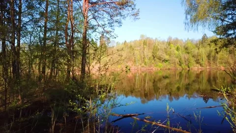 Spring, Arboretum "Rubovsky", quarry and Western Dvina Stock Footage 252257844