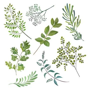 Spring art print with botanical elements. Stock Illustration