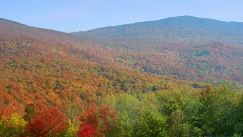 Spring to Autumn Forest Transition Time-lapse Stock Footage 346196507