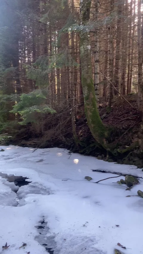 Spring Awakening: Ice Breaking on a Mountain River | 4K Vertical Video Stock Footage 303092497