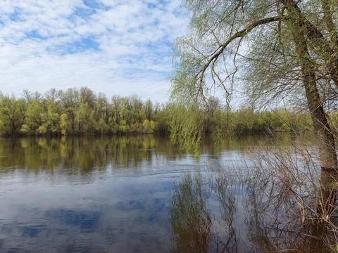 Spring awakening on the river. Stock Photos