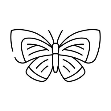 Spring azure insect line icon vector illustration Illustrazione stock