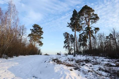 Spring azure sky with light clouds at the edge of the forest Stock Photos