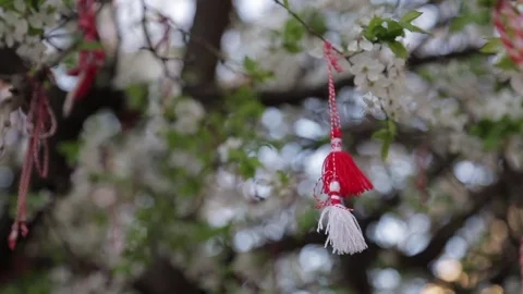 Spring Baba Marta Martenitsa decorations on tree in Bulgaria 動画素材 83757330