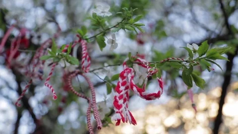Spring Baba Marta Martenitsa decorations on tree in Bulgaria Video stock 83757334