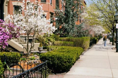 Spring In Back Bay Stock Photos