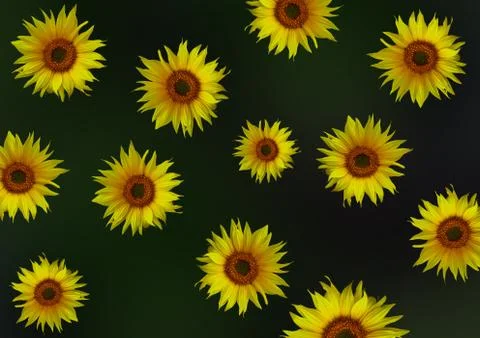 Spring is back! Stock Illustration