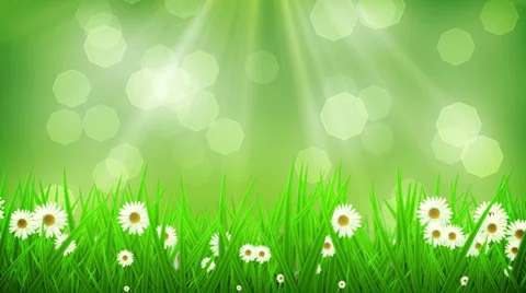 Spring Background 02 Stock Footage 37566521