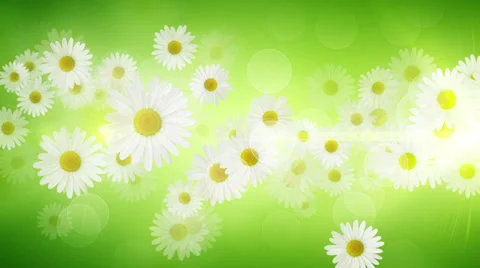 Spring Background 04 Stock Footage 37566016