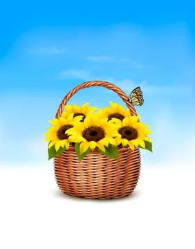 Spring background. Basket full of sunflowers and a butterfly. Vector. Stock Illustration