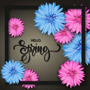 Spring background with beautiful flowers. Greeting card with hand drawn Stock-Illustration