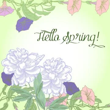 Spring  background with bindweed and white peonies Stock Illustration