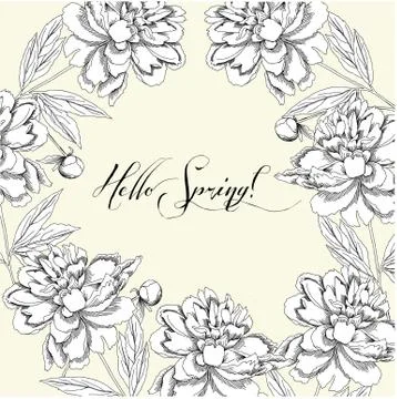 Spring  background with black and white peony. Stock Illustration