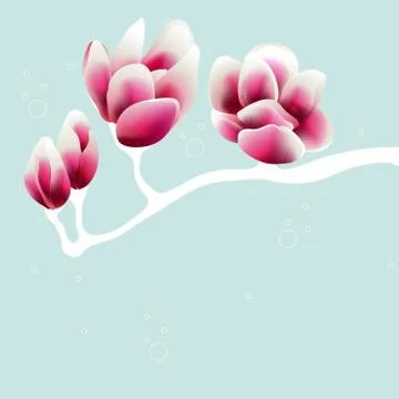 Spring background with blossom brunch of pink flowers. Template for wedding,  Stock Illustration