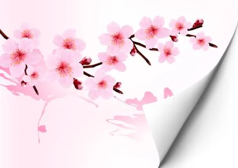 Spring background with a blossoming sakura branch. vector illustration. Stock Illustration
