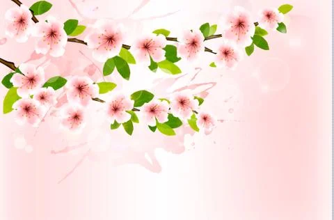 Spring background with blossoming sakura branches. vector illustration. Illustrazione stock