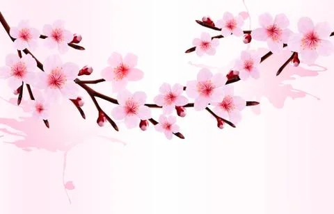 Spring background of a blossoming tree branch with spring flowers. vector ill Stock Illustration