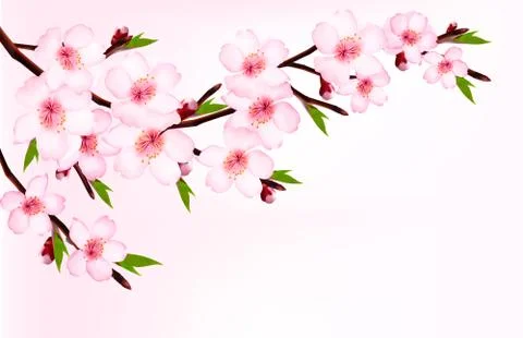 Spring background of a blossoming tree branch with spring flowers. vector. Stock Illustration