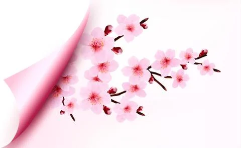 Spring background of a blossoming tree branch with spring flowers. vector. Stock Illustration