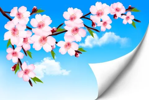 Spring background of a blossoming tree branch with spring flowers. vector. Stock Illustration