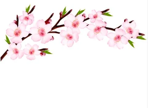 Spring background of a blossoming tree branch with spring flowers. vector. Illustrazione stock