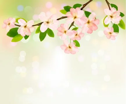 Spring background with blossoming tree brunch with spring flowers. vector ill Stock Illustration