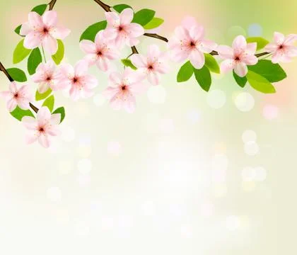Spring background with blossoming tree brunch with spring flowers.vector Stock Illustration